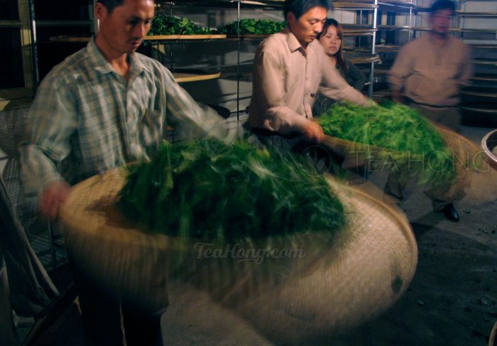 the process of Yao Qing, Wuyi Shan